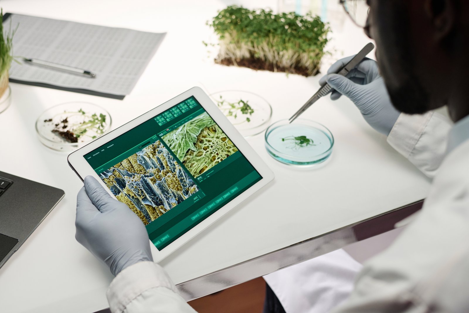 Laboratory research