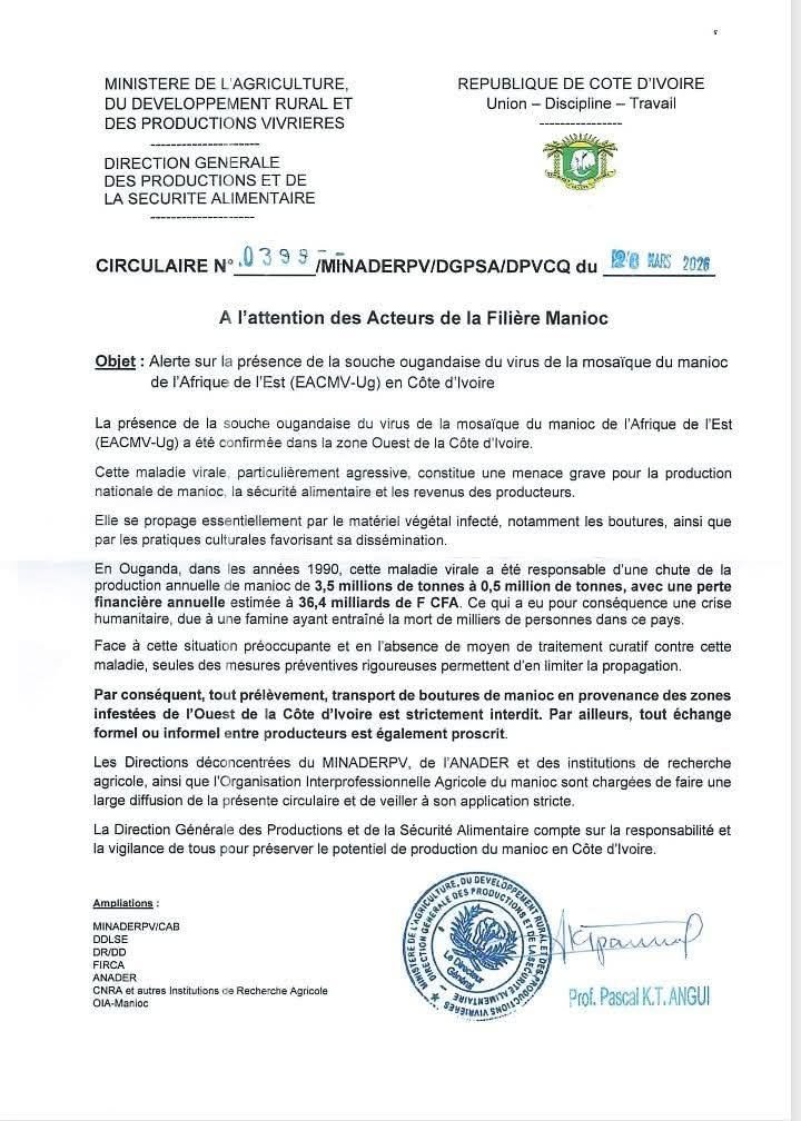 Emergency alert regarding the presence of the Ugandan strain of the East African Cassava Mosaic Virus (EACMV-Ug) in Côte d’Ivoire