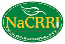 NaCRRI