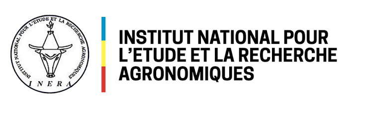 INERA DRC